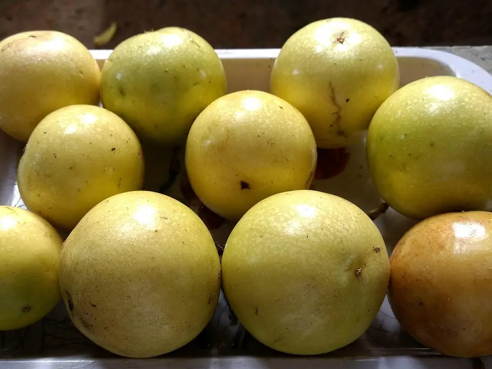 Passion Fruit