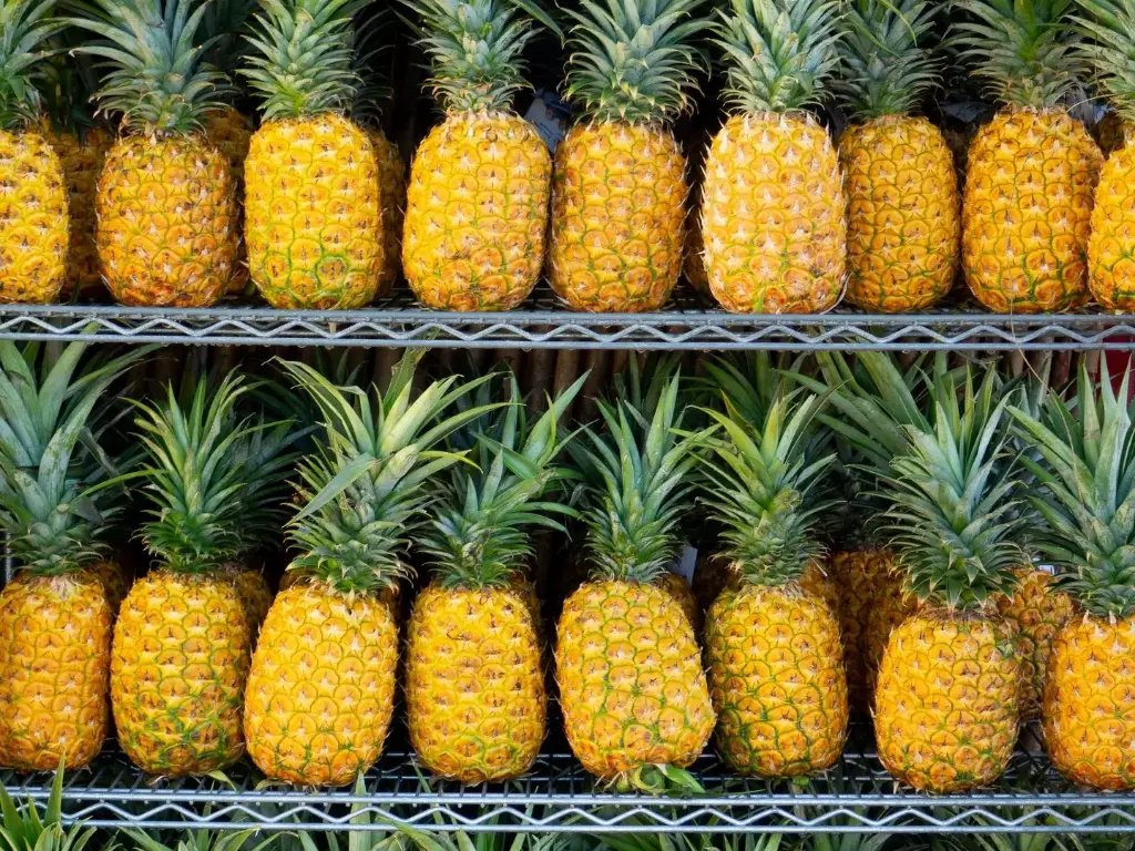 Pineapple
