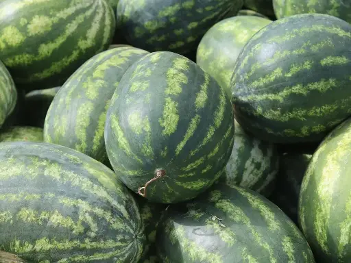 Watermelon