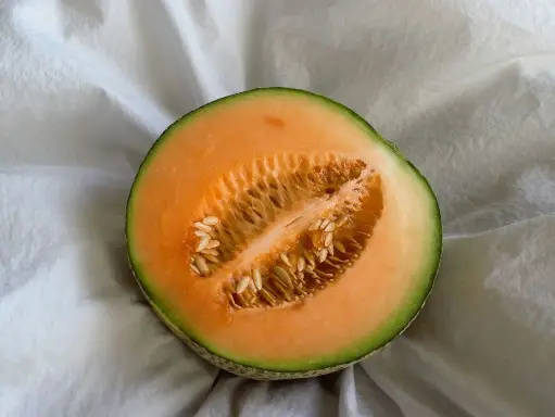 Cantaloupe