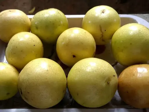 Passion Fruit