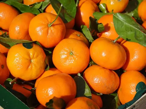 Tangerines