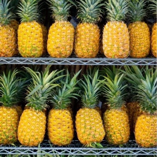 菠蘿