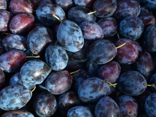 Plums